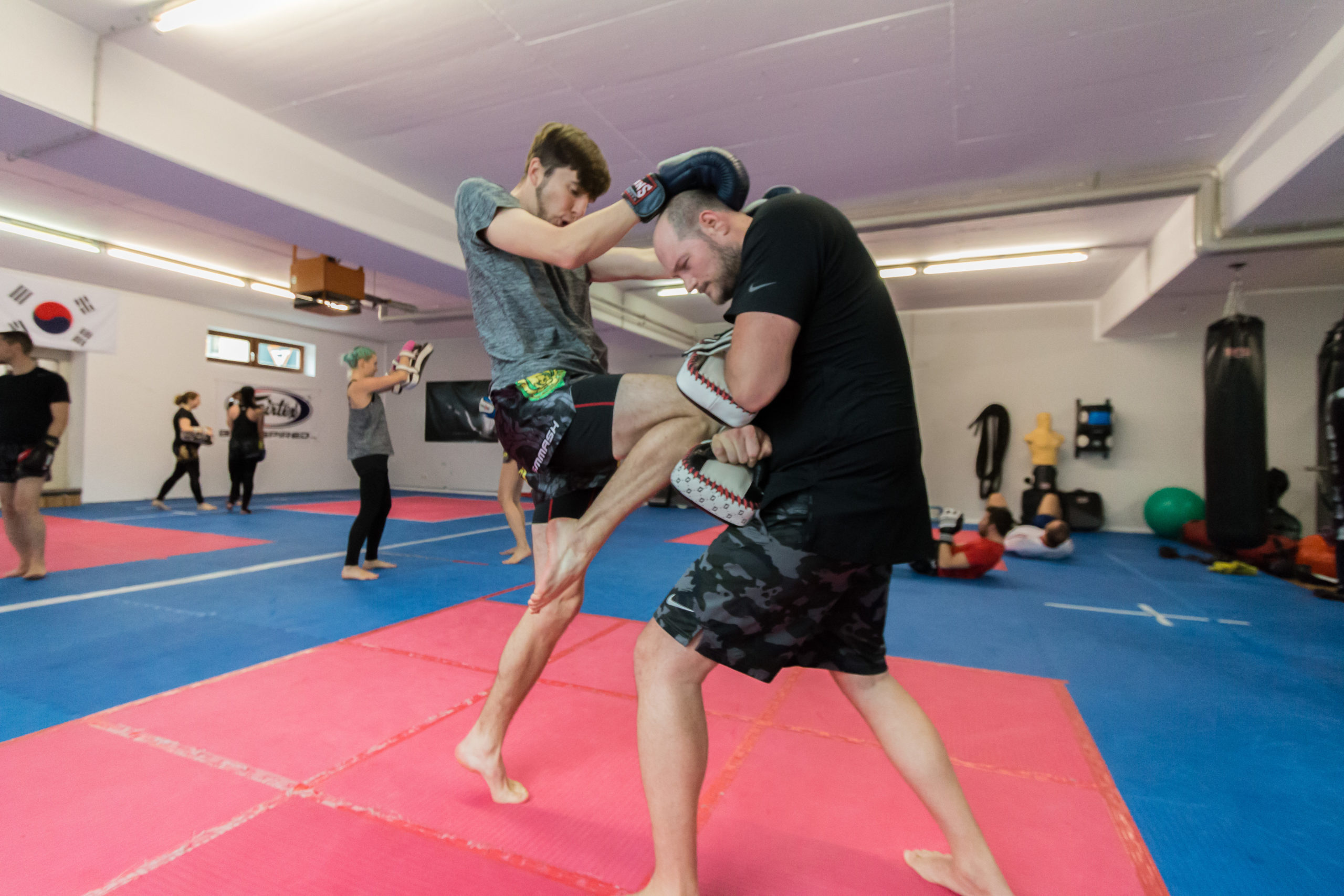 Mixed Martial Arts (MMA) Muay Thai Freunde Freising e.V.